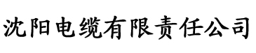 快播黄页电缆厂logo